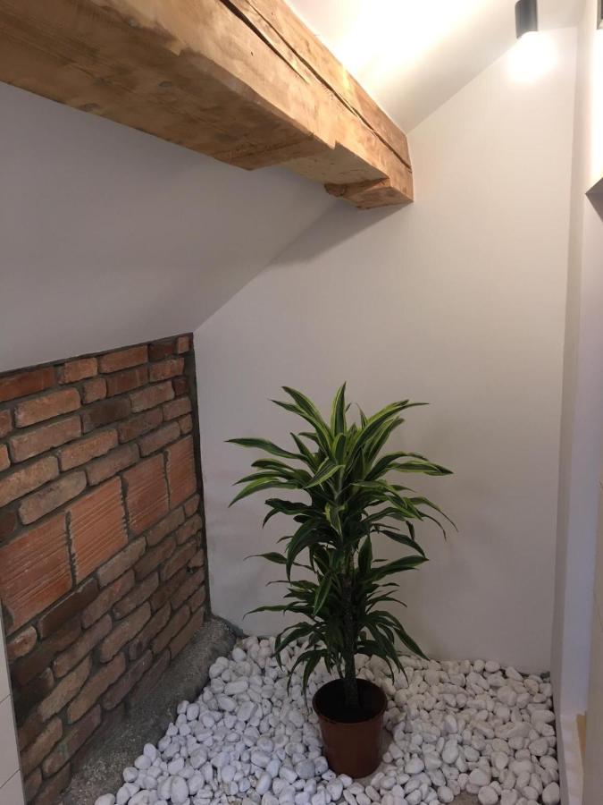 Kasita Bled Apartments Dış mekan fotoğraf
